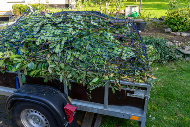 Best Construction Debris Removal  in Forest View, IL